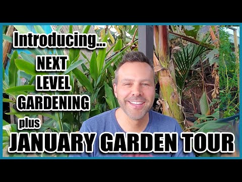 January
