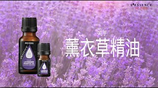 L'ESSENCE Essential Oil - Lavender (Chinese)