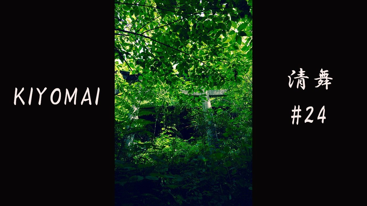 清舞 #24 | 最も美しい禅の儀式 | Sacred Geometry of Movement 【4K Cinematic】