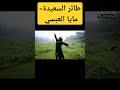 طائر السعيدة مايا العبسي