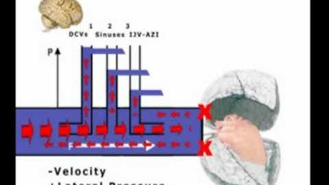 Zamboni_Animation.mpg