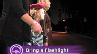 Halloween Safety Tips for the Kids