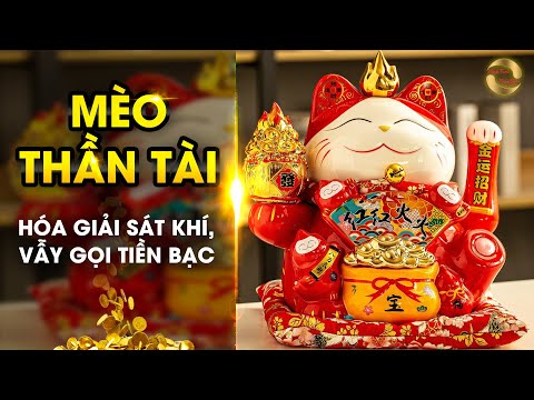 Video 265 - Tìm hiểu về MÈO THẦN TÀI - hóa giải sát khí, vẫy... - youtube