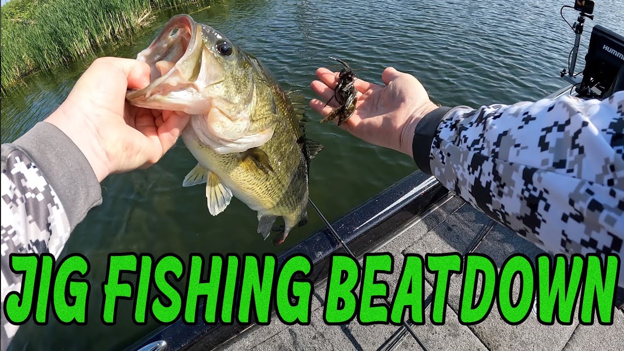 Versatile Bass Fishing: Mastering Deep and Shallow Waters with All Terrain Jigs