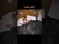 ذهب ل نساء و اللفضه رجال ذهب ل نساء و اللفضه رجال