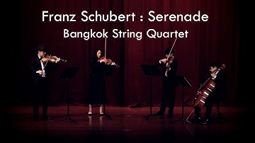 Schubert : Serenade by Bangkok String Quartet