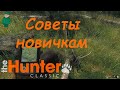 theHunter Classic. Советы новичкам.