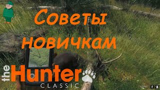 theHunter Classic. Советы новичкам.