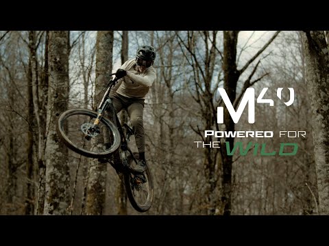 New MAHLE M40 System. Powered for the Wild.