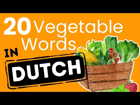Dutch Ingredients Bv