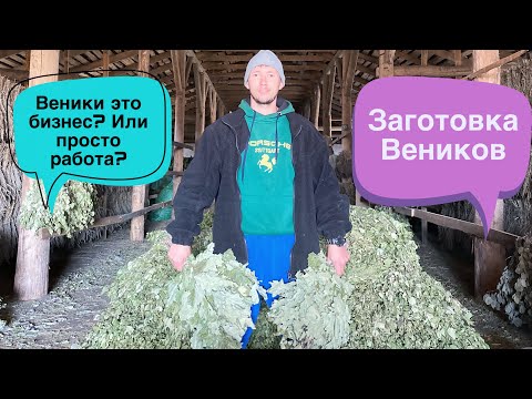 Веники это бизнес или работа?| Заработки на вениках| заготовка Веников