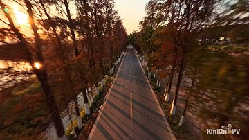 Flying Around Red Trees | FPV Freestyle | ImpulseRC Apex 5 with Insta360 ACE Pro (4K60)