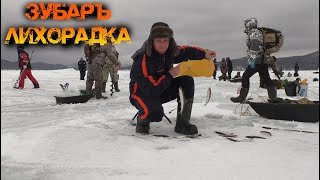 На рыбалку за Зубарём! Лихорадка!