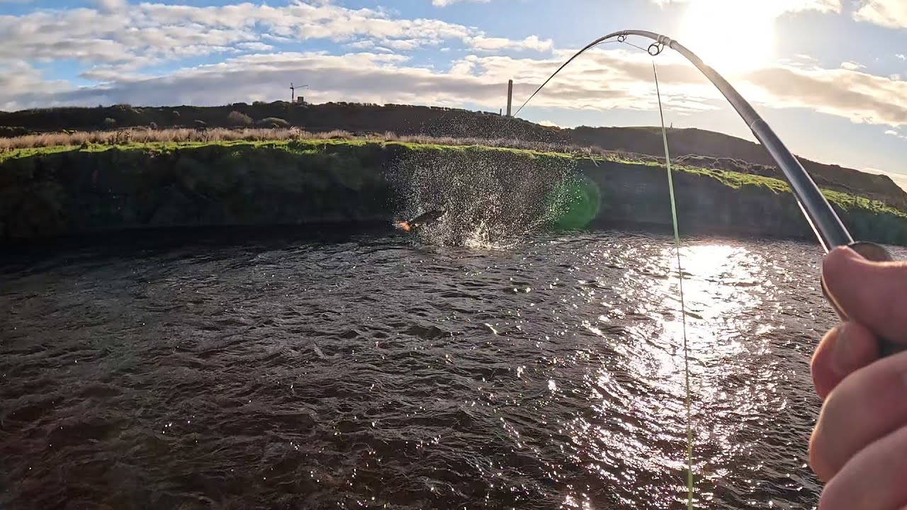 Fly Fishing for Autumn SALMON 🍂 in CUMBRIA uk 4K | He's a Gymnast!🤸‍♀️