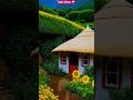 Rain vibes 🌧️ #shorts #shortsfeed #youtubeshorts #nature #rain #house #peace
