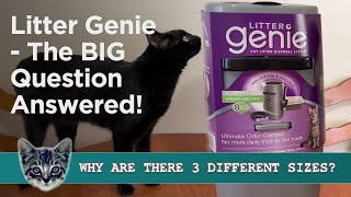 Litter Genie Review: Standard, Plus And XL  How To Set Up And Use