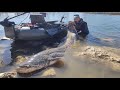 Big siluro da belly boat by Yuri Grisendi