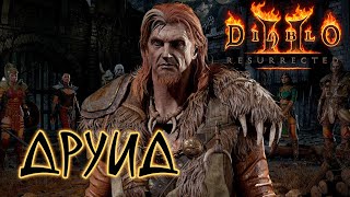 Diablo 2 Resurrected. Друид.