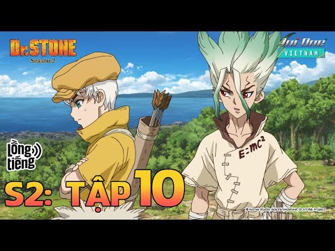 Dr. Stone