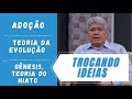 ADOÇÃO / TEORIA DA EVOLUÇÃO / GÊNESIS, TEORIA DO HIATO