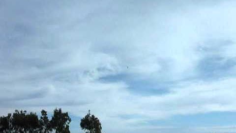 Heligods - RC Helicopter Forum