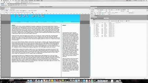 Adobe Dreamweaver CS5 - Rollover Images
