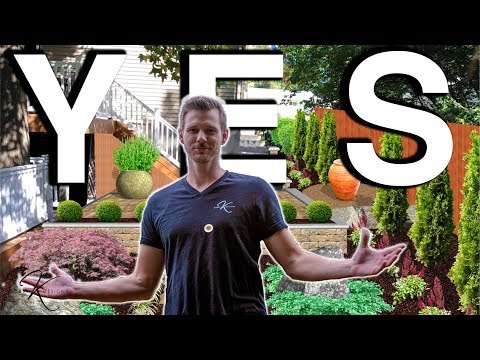 Quick, Easy, Simple Backyard IDEAS 🍃🌳🌱// Bobby K Designs