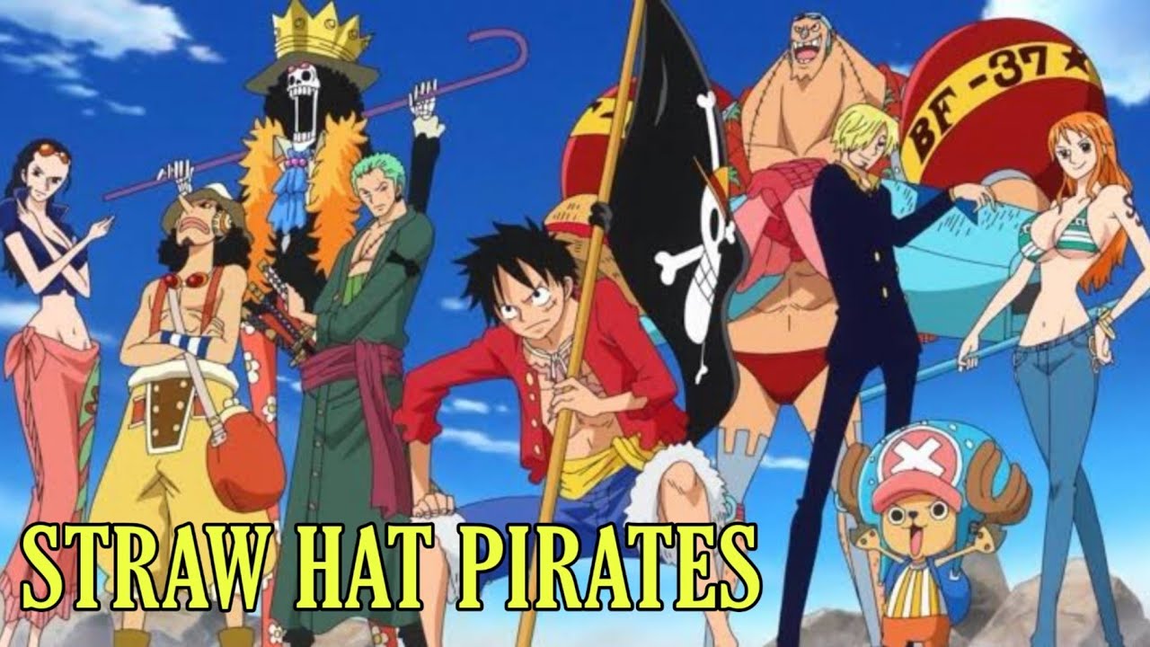 Monkey D Luffy One Piece Crew Members