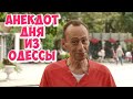 Анекдот дня! Еврейские анекдоты из Одессы!