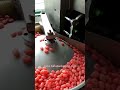 Double Twist Packaging Machine, Candy Packaging Machine, Chocolate Wrapping Machine