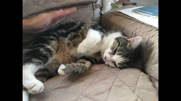 朱惠文-香港中文 粵語 廣東話 #Chapter1 #Time #StevenChu Cantonese #Hong Kong Cantonese #write