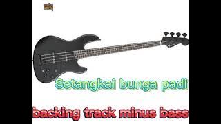 backing track no bass-setangkai bunga padi