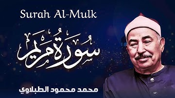 تلاوة بصوت عذب يجعلك تعيش لحظات من الخشوع الحقيقي