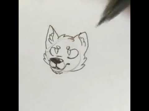 Featured image of post Wolf Furry Head Base Drawing Camber the wolf video showing this premade partial fursuit completed by aiko wolf