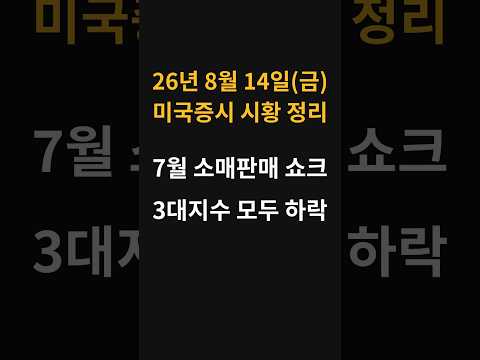 (8월 14일) 오늘 미국증시 요약 - 소매판매 부진에 3대 지수 모두 하락!