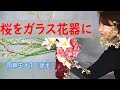 【生け花】【簡単生け花】後半_ガラス花器に桜をいける動画_Sogetsu Ikebana