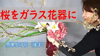 【生け花】【簡単生け花】後半_ガラス花器に桜をいける動画_Sogetsu Ikebana