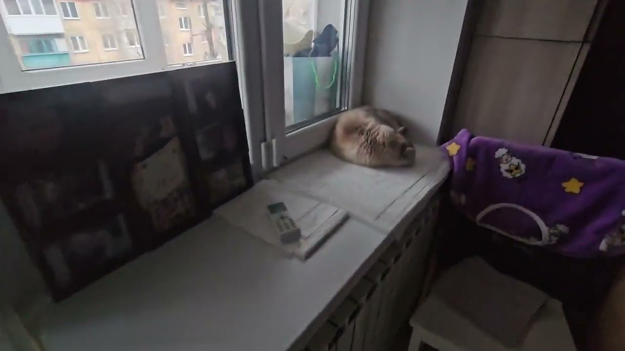 У мамы ПРОВЕДАЛ