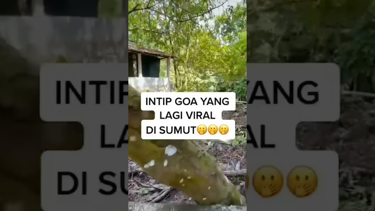 Goa Ergendang Shorts Sumut Youtube