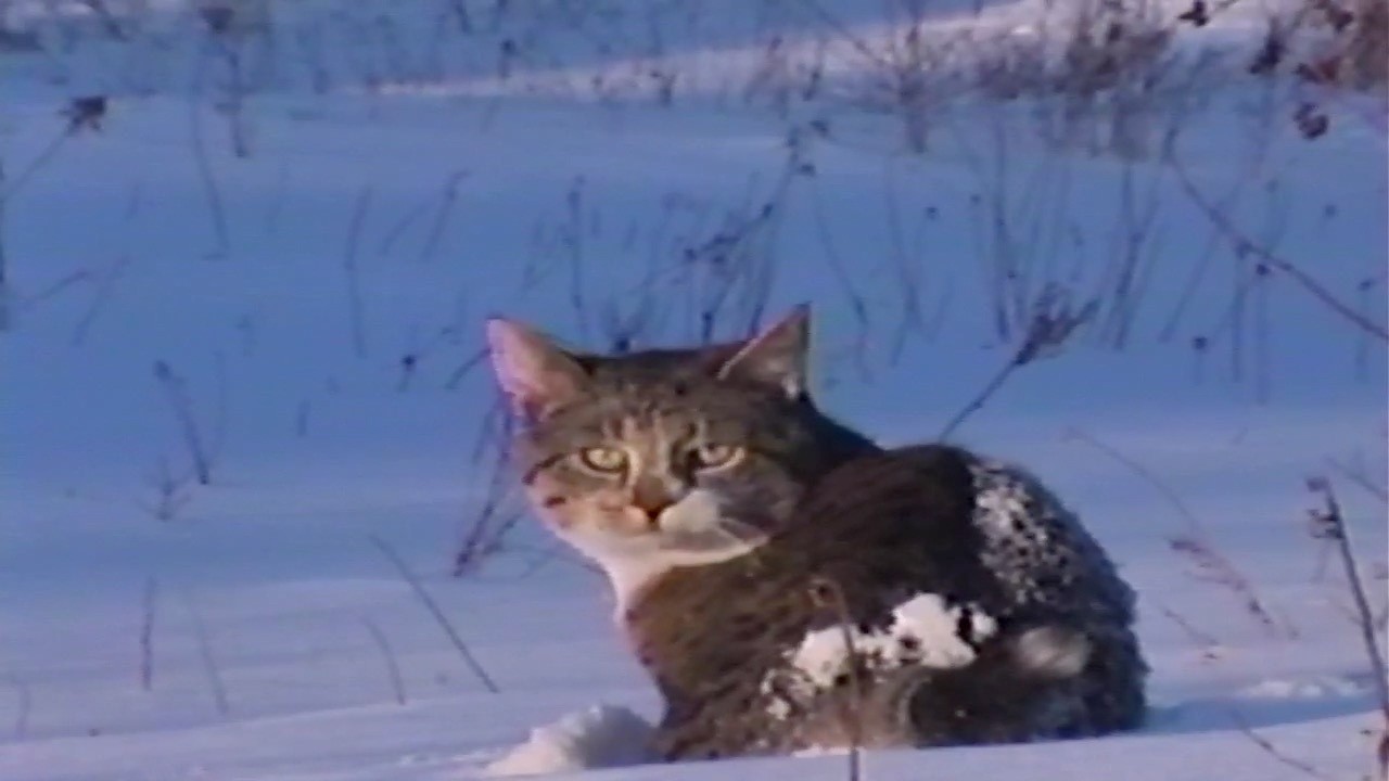 don’t ever forget that I love you