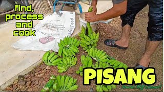 #EP718 Peram Buah Pisang Guna Kabad/Kabait Meriam