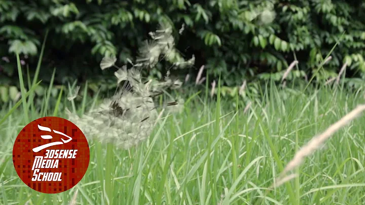 Jeanne Hebert (3dsense Student Showreel 2015 - VFX)