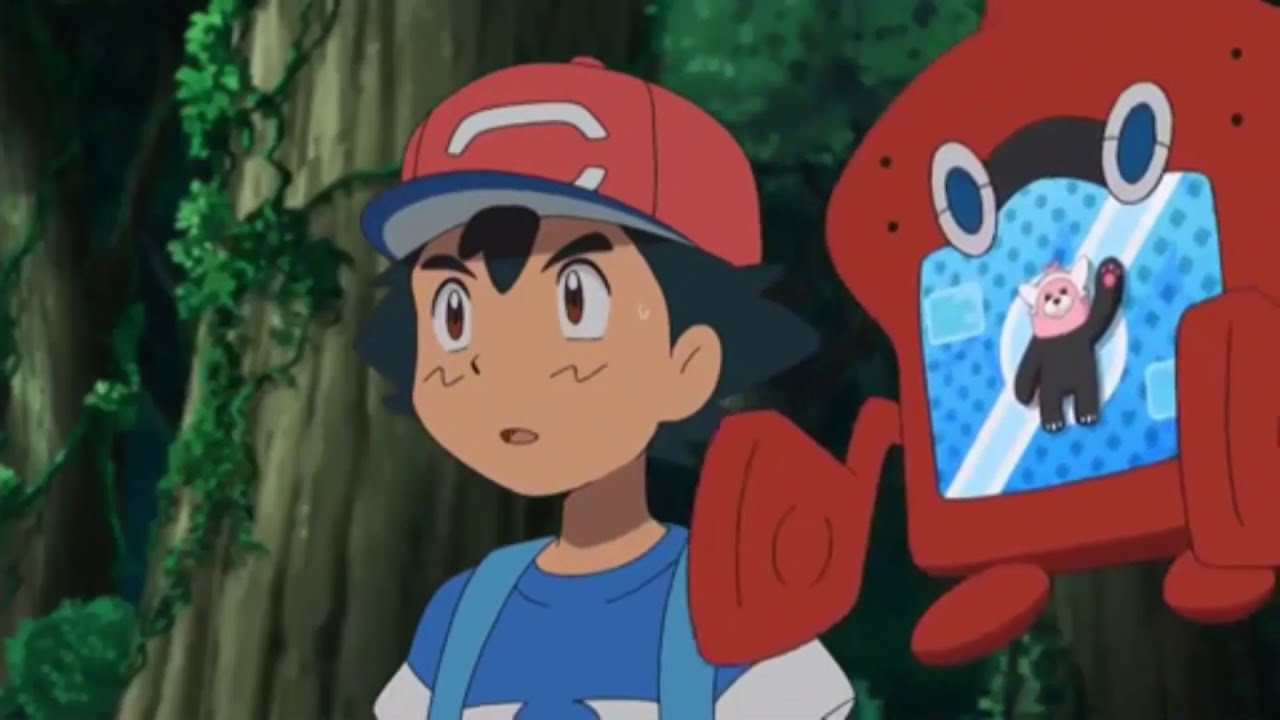 Bewear Pokedex entry