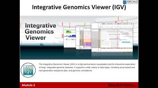 Genome Visualization