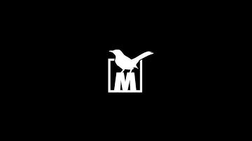 Tiny Whoop 19k brushless Mockingbird teaser