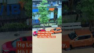 Quảng Ninh ngập sâu diện rộng sau đợt mưa lớn| #shorts