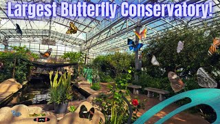 Largest Butterfly Conservatory In America! (Butterfly Wonderland Scottsdale, Arizona)