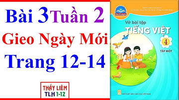 Vở Bài Tập Tiếng Việt Lớp 4 Bài 3 Tuần 2 | Gieo Ngày Mới | Trang 12 - 14 | Chân Trời Sáng Tạo