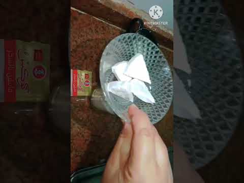 صوص السينابون