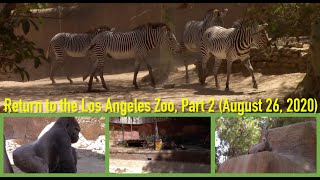 Return to the Los Angeles Zoo, Part 2 (August 26, 2020)
